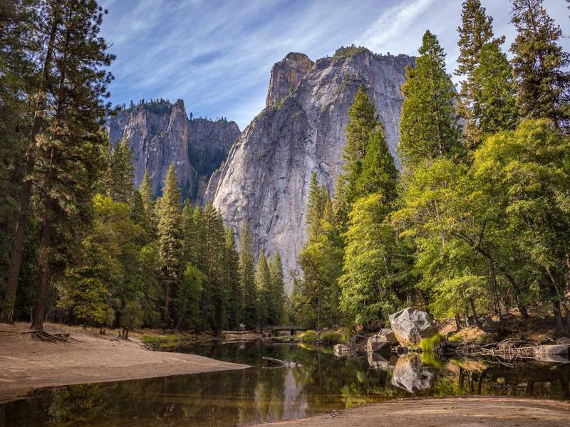 전문가 펫 케어