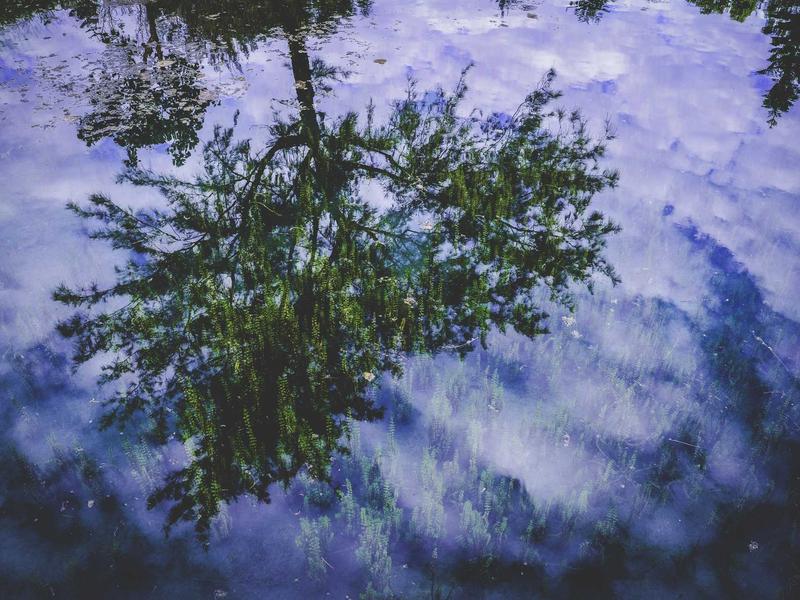 즐거운 풀사이드 파티